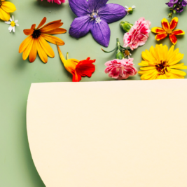depression treatment in the spring